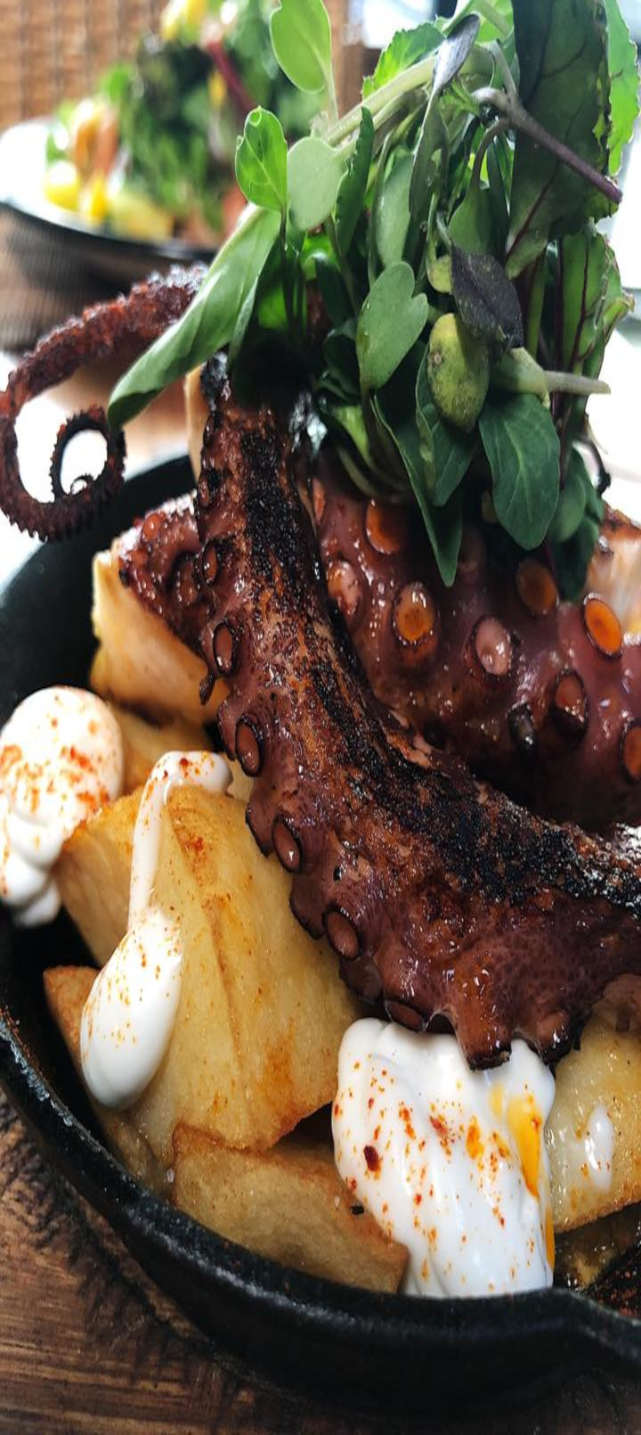 Imagen del plato con pulpo a la gallega con pimentón de la vera y olivas y colchón de papas rotas y alioli 